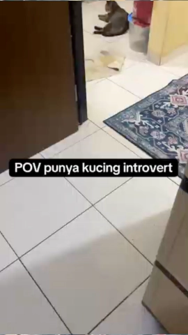 Konten Video Tiktok 5.webp