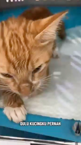 Konten Video Tiktok 7.webp