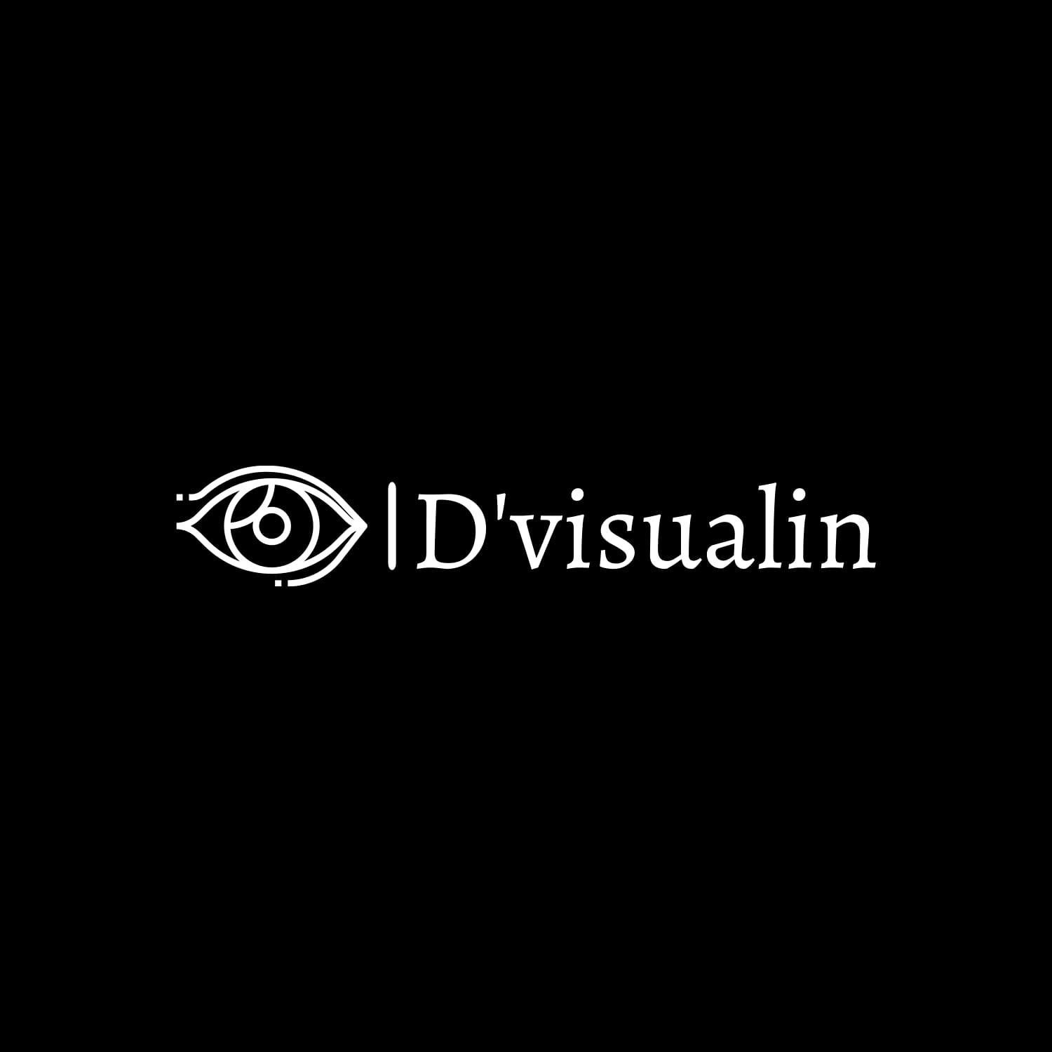 About D'Visualin