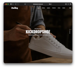 Portofolio Website Kickdropshoe